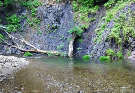 １匹目が川サバ ～長良川水系～